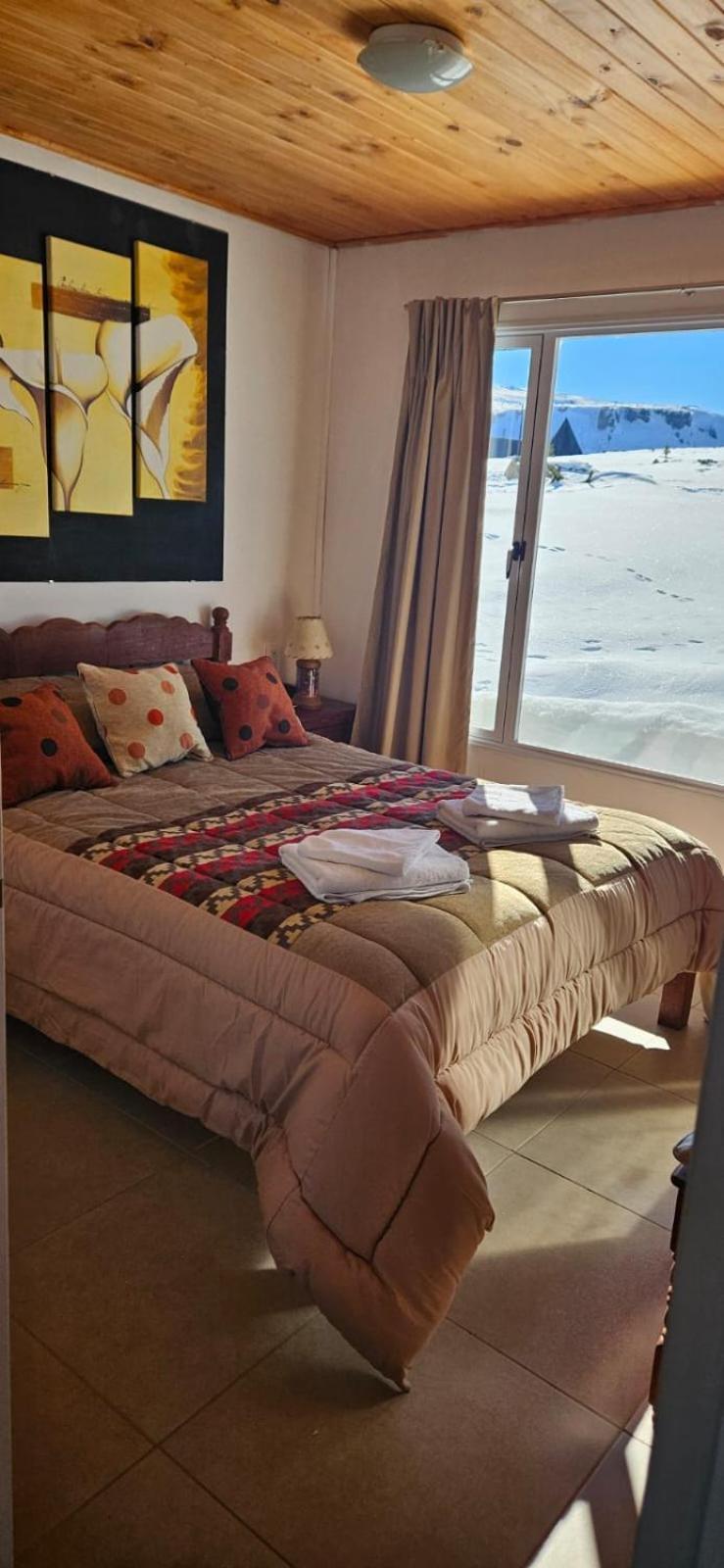 Nothofagus Chalet